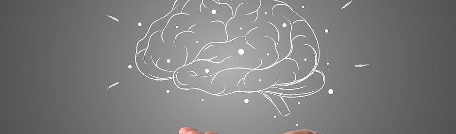 brain-4961452_1280.jpg