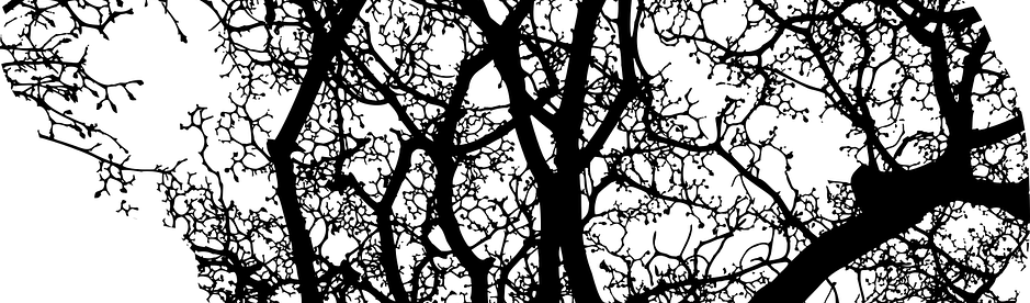 brain-2146817_1280.png