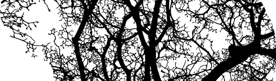 brain-2146817_640.png